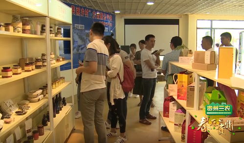 數說貴州 數字鄉村的貴州實踐，智慧生活織就智富夢